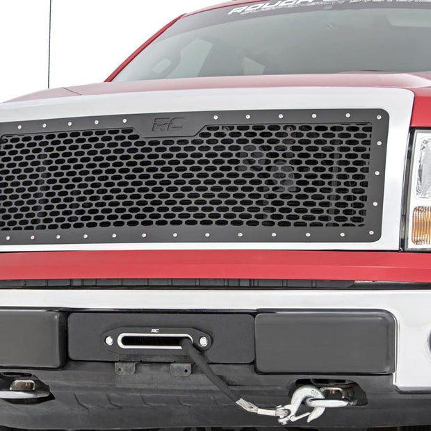 Mesh Grille | Ford F-150 2WD/4WD (2009-2014)